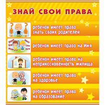 Стенд "Знай свои права" - «globural.ru» - Владимир