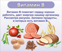Стенд "Витамин В" - «globural.ru» - Владимир