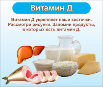 Стенд "Витамин Д" - «globural.ru» - Владимир