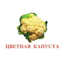 Карточки Домана "Овощи-Зелень-2" - «globural.ru» - Владимир