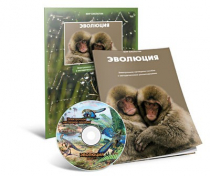Электронное наглядное пособие «Эволюция» - «globural.ru» - Владимир