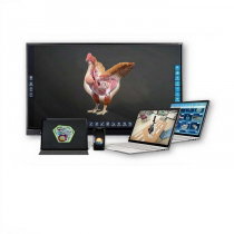 Интерактивное наглядное 3D пособие «Познание: Птицеводство» - «globural.ru» - Владимир