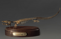 Модель скелета мозазавра Mosasaurus - «globural.ru» - Владимир