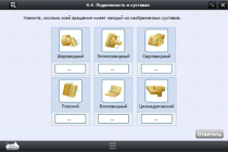 Интерактивные курсы. Биология 8 класс. Базовый  - «globural.ru» - Владимир