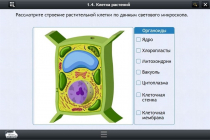 Интерактивные курсы. Биология 9 класс. Расширенный - «globural.ru» - Владимир