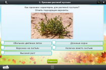 Интерактивные курсы. Окружающий мир 3 класс. Базовый - «globural.ru» - Владимир