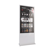 Интерактивный сенсорный киоск Nova 55" - «globural.ru» - Владимир