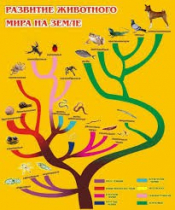 Стенд "Развитие животного мира на земле" - «globural.ru» - Владимир