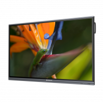 Интерактивный программно-аппаратный комплекс Geckotouch Interactive Pro IP75HT-E в комплекте с настенным креплением - «globural.ru» - Владимир