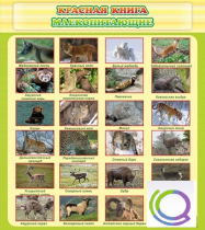 Стенд "Красная книга - млекопитающие" - «globural.ru» - Владимир