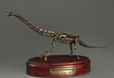 Модель скелета динозавра Brachiosaurus - «globural.ru» - Владимир