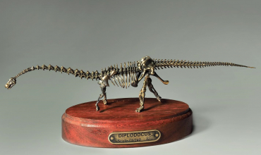 Модель скелета динозавра Diplodocus  (вариант 2) - «globural.ru» - Владимир