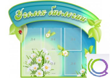Стенд "Уголок биологии" - «globural.ru» - Владимир