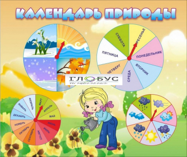 Стенд "Календарь природы" (вариант 1) - «globural.ru» - Владимир