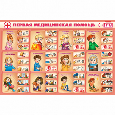 Стенд "Первая помощь" - «globural.ru» - Владимир