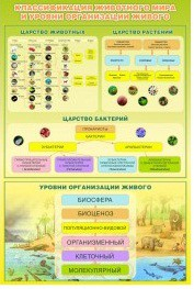Стенд "Классификация животного мира" - «globural.ru» - Владимир